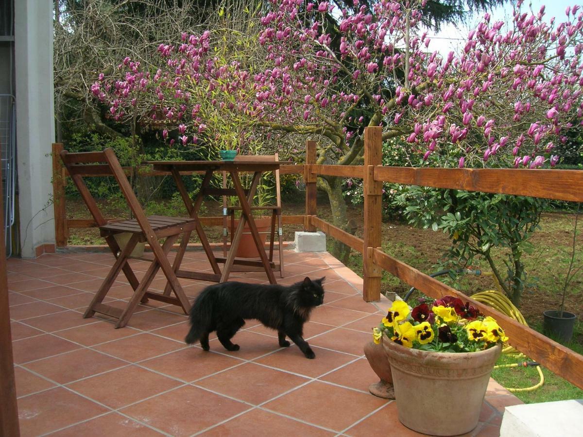 Olive Tree Hill Bed & Breakfast Zagarolo Dış mekan fotoğraf