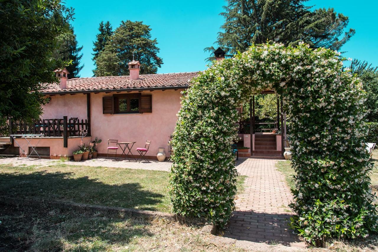 Olive Tree Hill Bed & Breakfast Zagarolo Dış mekan fotoğraf