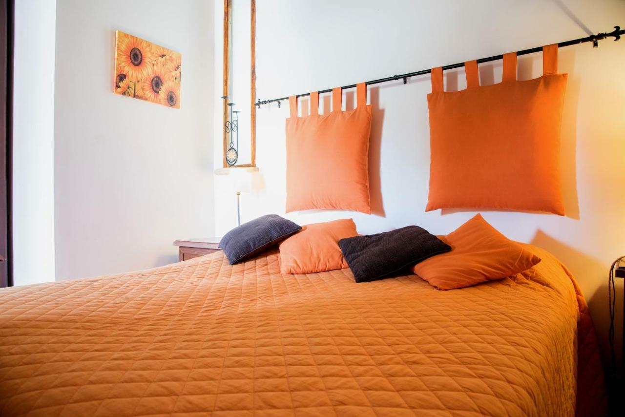 Olive Tree Hill Bed & Breakfast Zagarolo Dış mekan fotoğraf