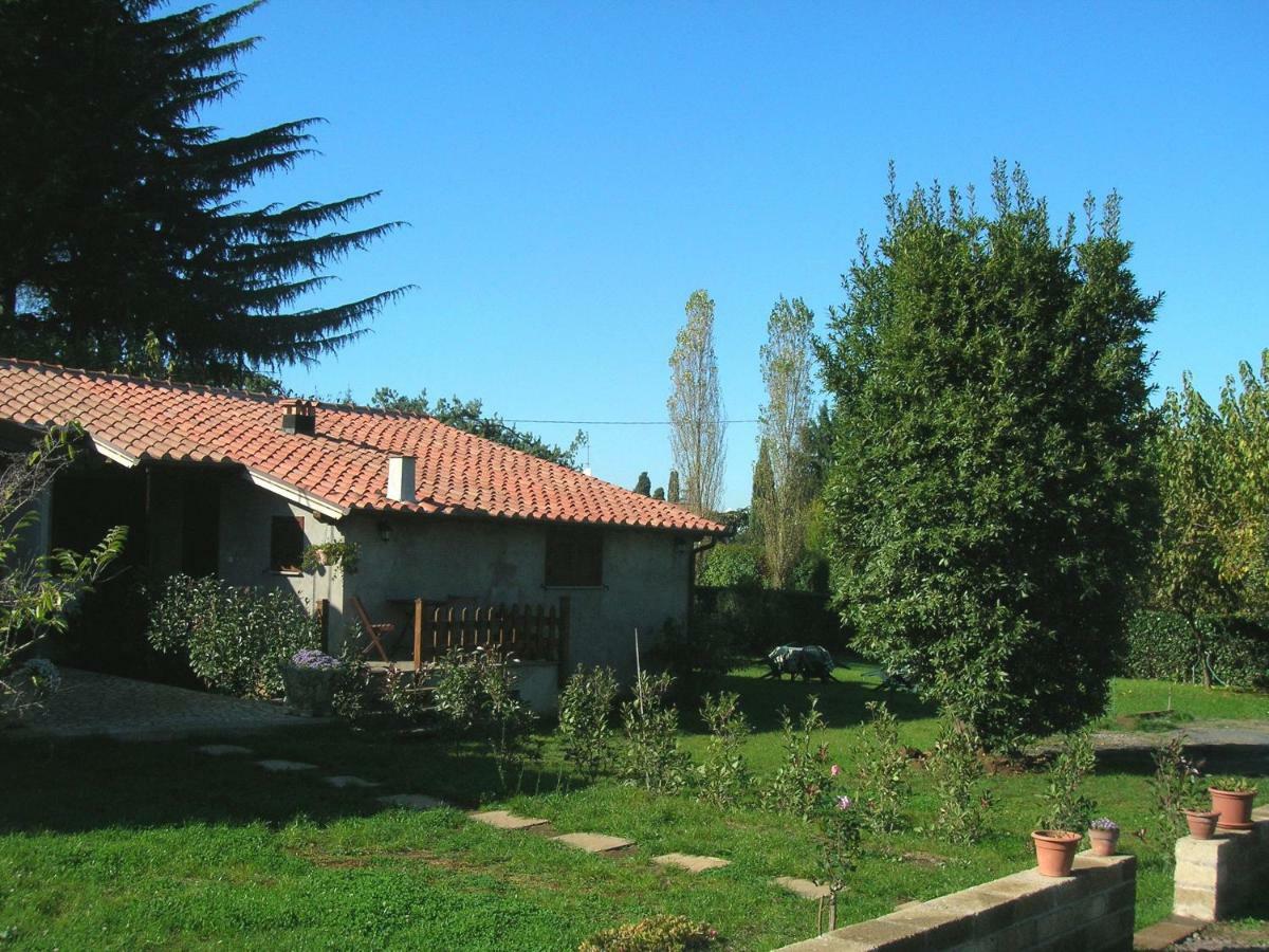 Olive Tree Hill Bed & Breakfast Zagarolo Dış mekan fotoğraf